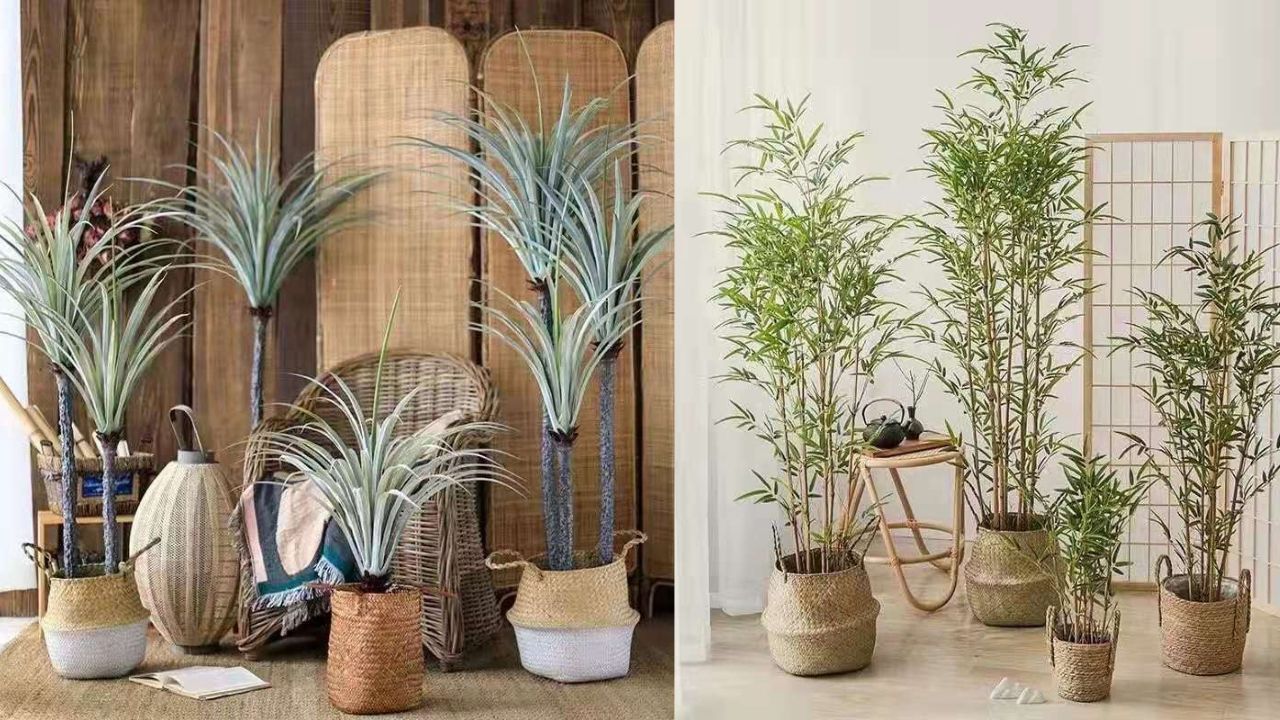 Artificial Plants: A Logical Approach to the Lives of Active Homeowners